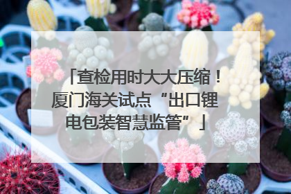 查检用时大大压缩！厦门海关试点“出口锂电包装智慧监管”
