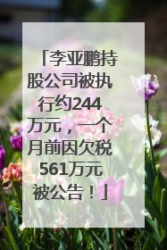 李亚鹏持股公司被执行约244万元，一个月前因欠税561万元被公告！