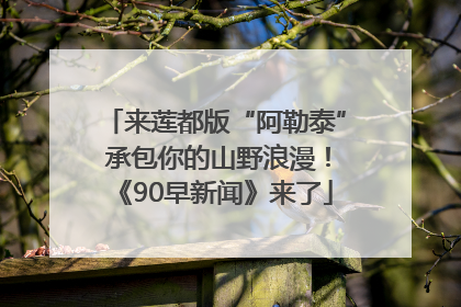 来莲都版“阿勒泰” 承包你的山野浪漫！《90早新闻》来了