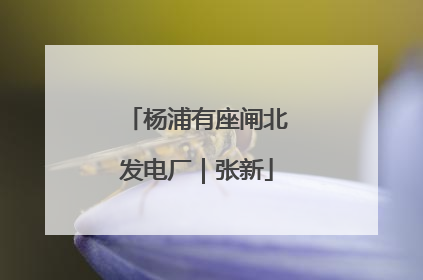 杨浦有座闸北发电厂｜张新