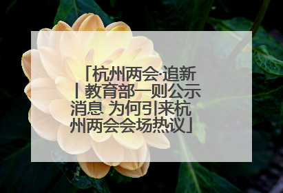 杭州两会·追新丨教育部一则公示消息 为何引来杭州两会会场热议