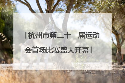 杭州市第二十一届运动会首场比赛盛大开幕