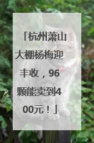 杭州萧山大棚杨梅迎丰收，96颗能卖到400元！