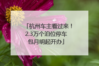 杭州车主看过来！2.3万个泊位停车包月明起开办