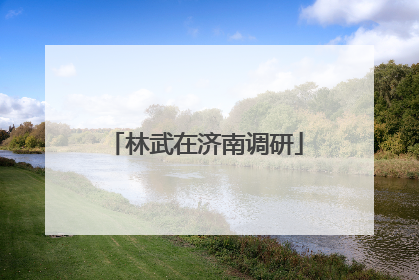 林武在济南调研
