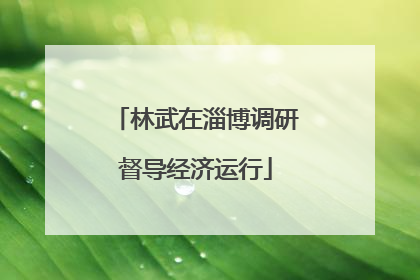 林武在淄博调研督导经济运行