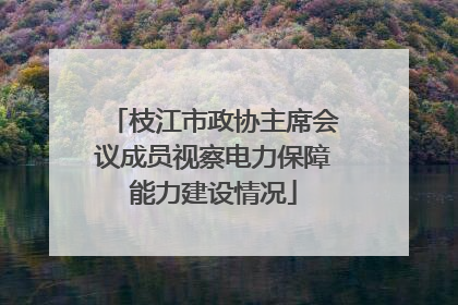 枝江市政协主席会议成员视察电力保障能力建设情况