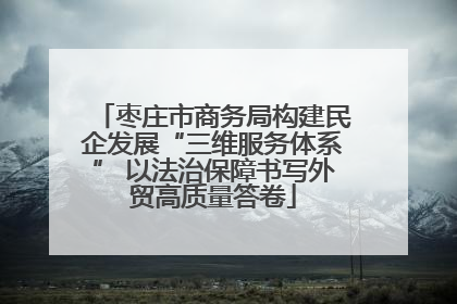 枣庄市商务局构建民企发展“三维服务体系” 以法治保障书写外贸高质量答卷