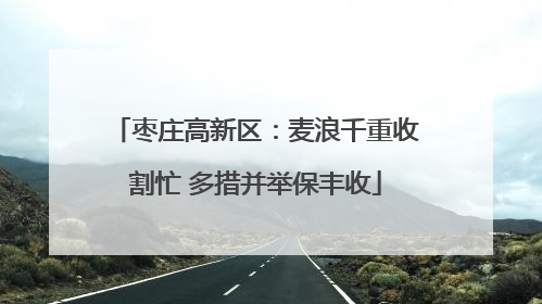 枣庄高新区：麦浪千重收割忙 多措并举保丰收