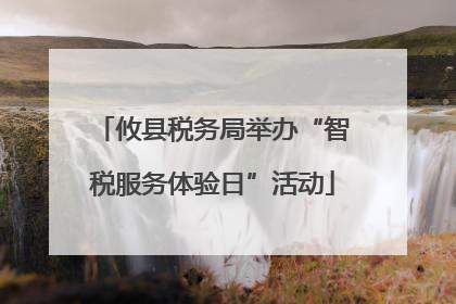 攸县税务局举办“智税服务体验日”活动