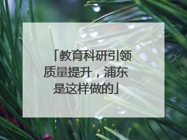 教育科研引领质量提升，浦东是这样做的