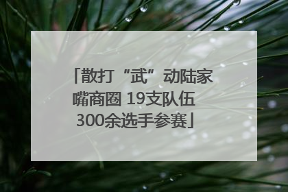 散打“武”动陆家嘴商圈 19支队伍300余选手参赛