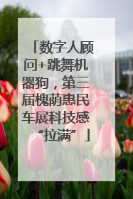 数字人顾问+跳舞机器狗，第三届槐荫惠民车展科技感“拉满”