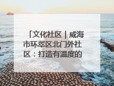 文化社区｜威海市环翠区北门外社区：打造有温度的文化社区