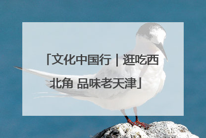 文化中国行｜逛吃西北角 品味老天津