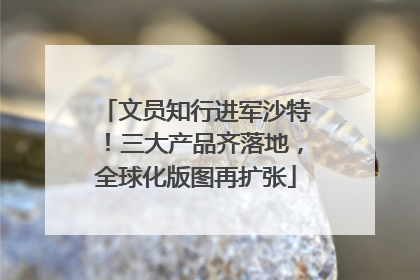 文员知行进军沙特！三大产品齐落地，全球化版图再扩张