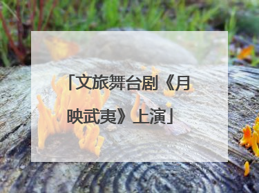 文旅舞台剧《月映武夷》上演