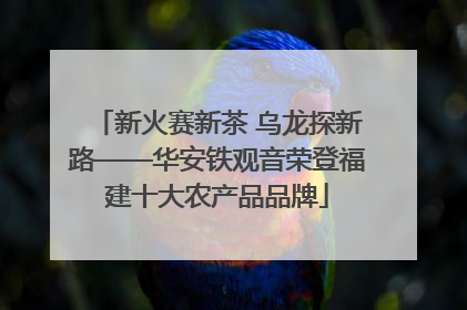 新火赛新茶 乌龙探新路——华安铁观音荣登福建十大农产品品牌