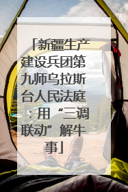 新疆生产建设兵团第九师乌拉斯台人民法庭：用“三调联动”解牛事