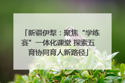 新疆伊犁：聚焦“学练赛”一体化课堂 探索五育协同育人新路径