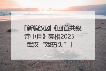 新编汉剧《回首共叙诗中月》亮相2025武汉“戏码头”