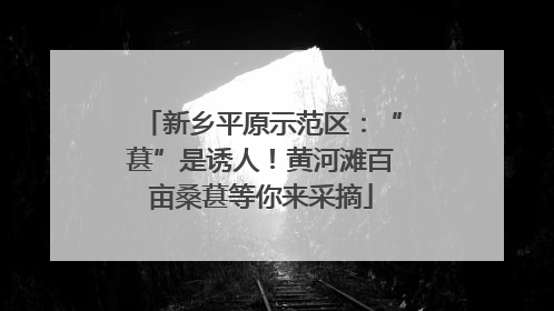 新乡平原示范区：“葚”是诱人！黄河滩百亩桑葚等你来采摘
