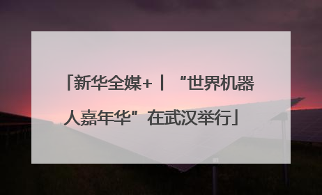 新华全媒+丨“世界机器人嘉年华”在武汉举行