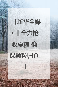 新华全媒+丨全力抢收夏粮 确保颗粒归仓
