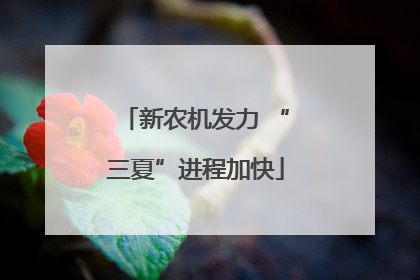 新农机发力 “三夏”进程加快