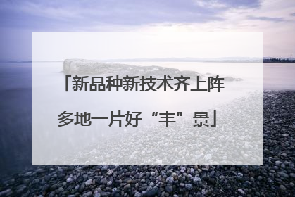 新品种新技术齐上阵 多地一片好“丰”景