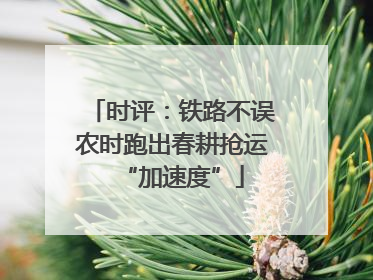 时评：铁路不误农时跑出春耕抢运“加速度”
