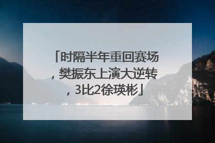 时隔半年重回赛场，樊振东上演大逆转，3比2徐瑛彬