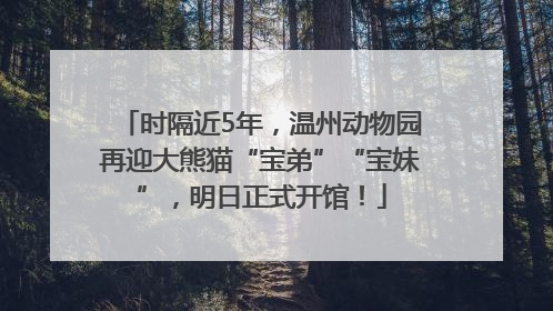 时隔近5年，温州动物园再迎大熊猫“宝弟”“宝妹”，明日正式开馆！