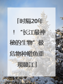 时隔20年！“长江最神秘的生物”极危物种鳤鱼重现赣江