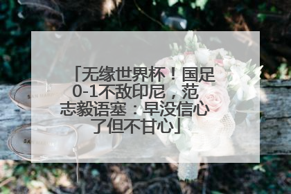 无缘世界杯！国足0-1不敌印尼，范志毅语塞：早没信心了但不甘心