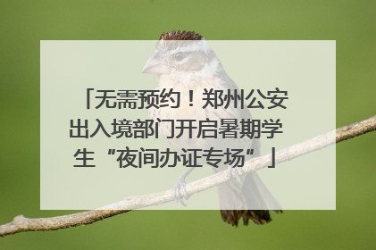 无需预约！郑州公安出入境部门开启暑期学生“夜间办证专场”