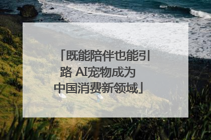既能陪伴也能引路 AI宠物成为中国消费新领域