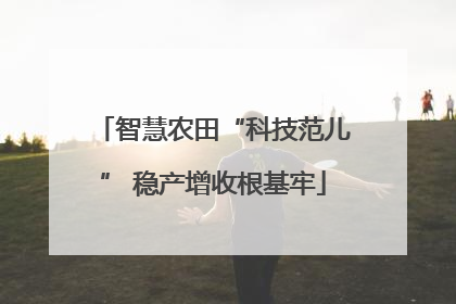 智慧农田“科技范儿” 稳产增收根基牢