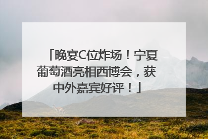 晚宴C位炸场！宁夏葡萄酒亮相西博会，获中外嘉宾好评！