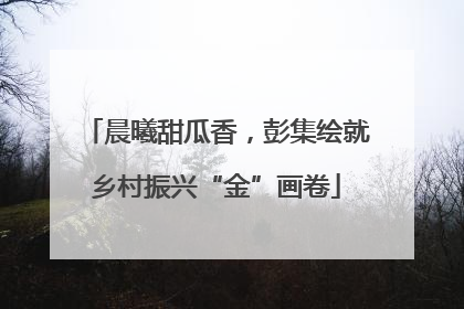 晨曦甜瓜香，彭集绘就乡村振兴“金”画卷