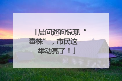 晨间遛狗惊现“毒株”，市民这一举动亮了！