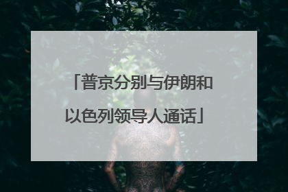 普京分别与伊朗和以色列领导人通话
