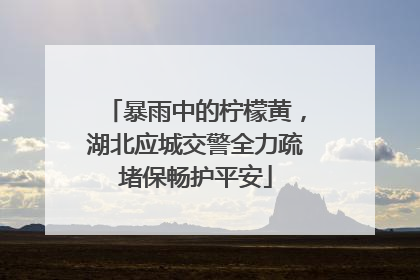 暴雨中的柠檬黄，湖北应城交警全力疏堵保畅护平安