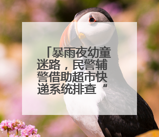 暴雨夜幼童迷路，民警辅警借助超市快递系统排查“手机尾号”，成功联系上家长
