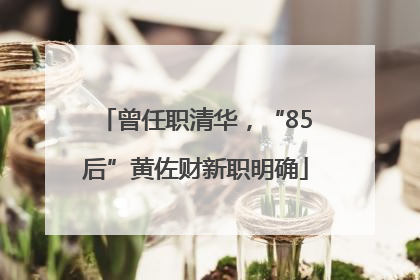 曾任职清华，“85后”黄佐财新职明确