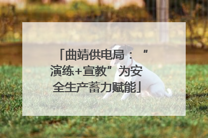 曲靖供电局：“演练+宣教”为安全生产蓄力赋能