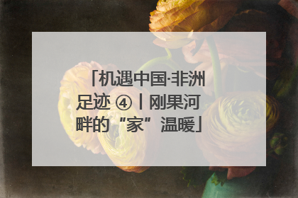 机遇中国·非洲足迹 ④丨刚果河畔的“家”温暖