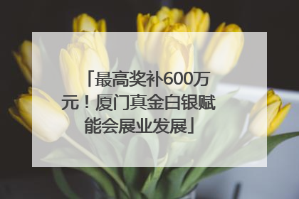 最高奖补600万元！厦门真金白银赋能会展业发展