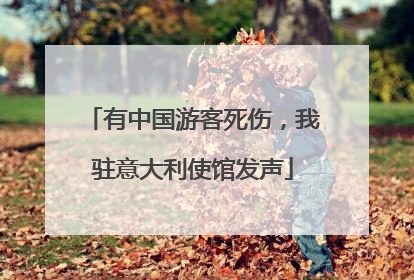 有中国游客死伤，我驻意大利使馆发声