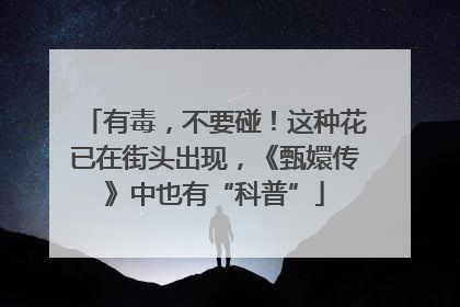 有毒，不要碰！这种花已在街头出现，《甄嬛传》中也有“科普”